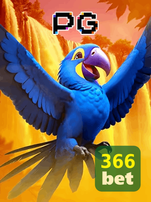 366BET bônus — cashback 15 por cento e níveis VIP